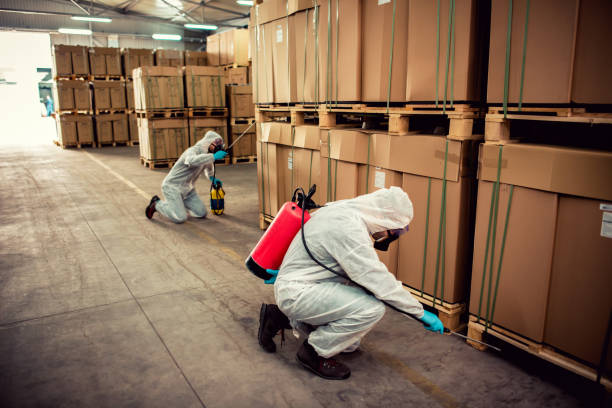 Best Residential Pest Control  in Meadowlakes, TX