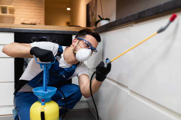 Best Best Pest Control Companies  in Meadowlakes, TX
