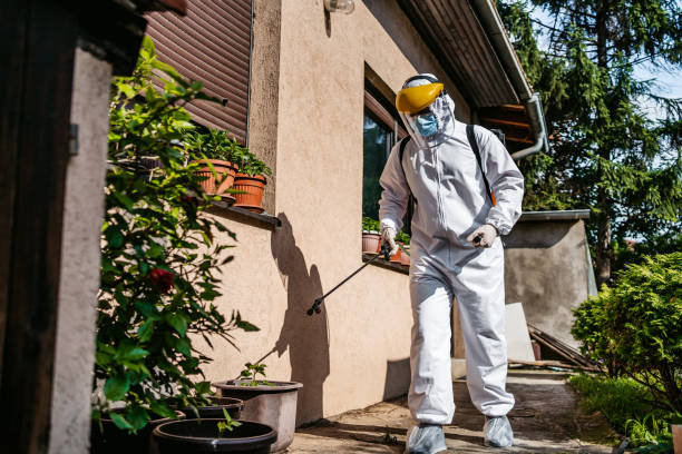 Best Cockroach Control Services  in Meadowlakes, TX