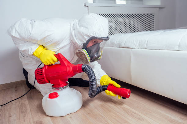 Best Bed Bug Extermination  in Meadowlakes, TX