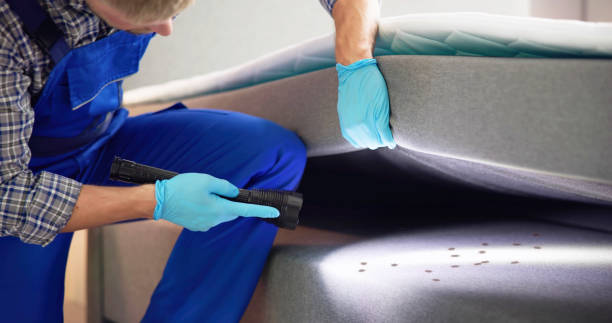 Best Insect Control  in Meadowlakes, TX
