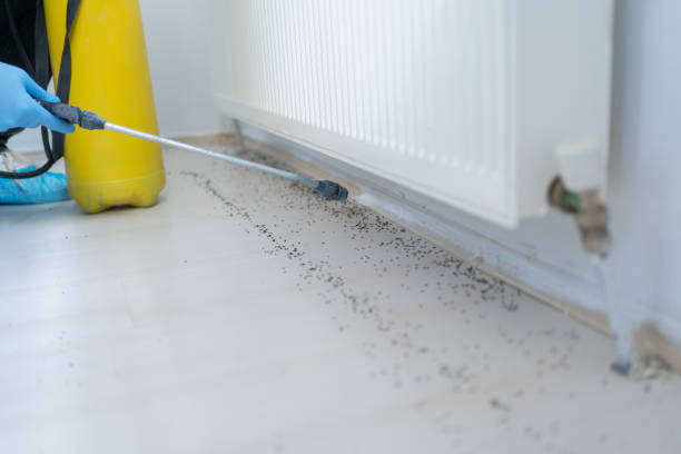 Best Emergency Pest Control  in Meadowlakes, TX