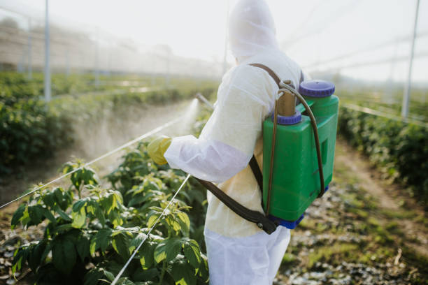  Meadowlakes, TX Pest Control Pros